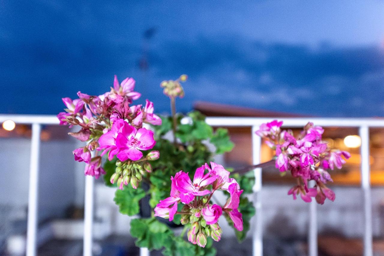 La Scalinata Bed & Breakfast Marina di Mancaversa Exterior photo